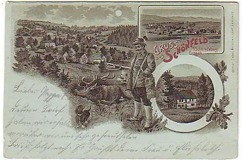 08728 Mondscheinkarte Gruß aus Schönfeld 1901
