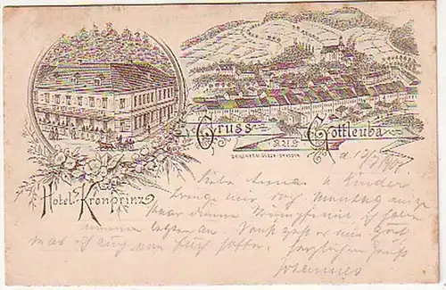08436 Ak Gruß aus Gottleube Hotel Kronprinz 1901