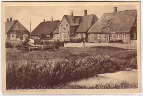 084227 Ak Hallig Hooge Königssel vers 1920