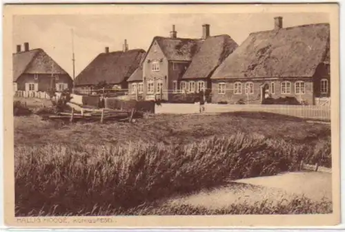 08427 Ak Hallig Hooge Königspesel um 1920