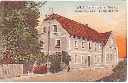 08397 Ak Gasthof Ammelshain près de Naunhof 1925