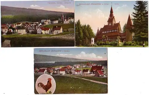 08247/ 3 Ak Hahnenklee i. Harz um 1920