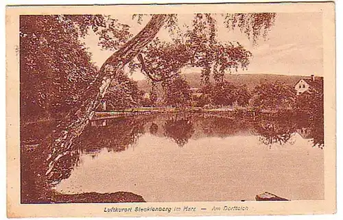 08237 Ak Stellenburg dans la résine au étang du village 1924
