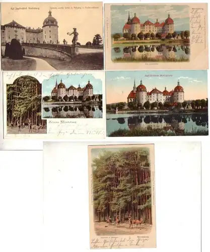 08200/5 Ak Chasse Château de Moritzburg etc. vers 1920