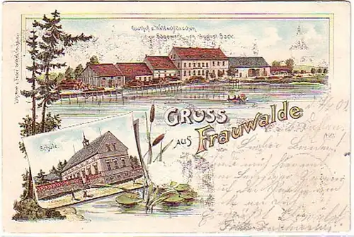 08146 Ak Lithographie Gruss de Frauswalde 1901