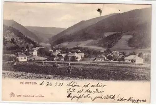 08001 Ak Pürstein Totalansicht 1905