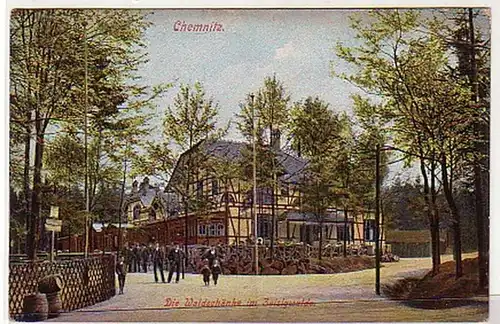 07961 Ak Chemnitz Waldschunke dans la forêt de Zeisswald 1907