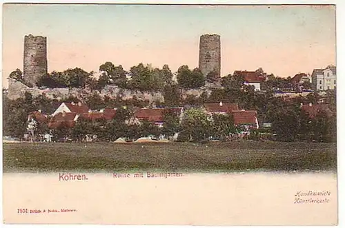 07926 Ak Kohren Ruine mit Baumgarten um 1900