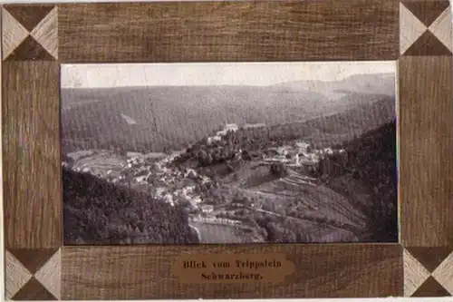 07810 Ak Schwarzburg Blick vom Trippstein 1908