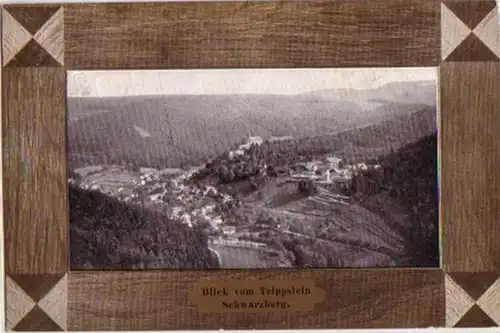 07810 Ak Schwarzburg Vue du Trippstein 1908
