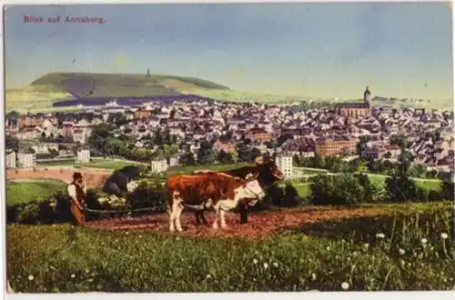 07499 Ak Vue sur Annaberg avec des bœufs en forme 1918