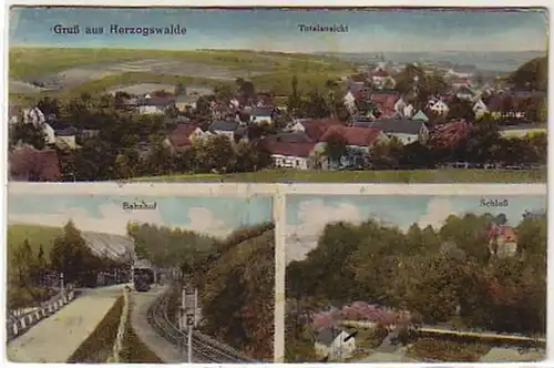 07305 Ak Gruß aus Herzogswalde Bahnhof usw. 1927