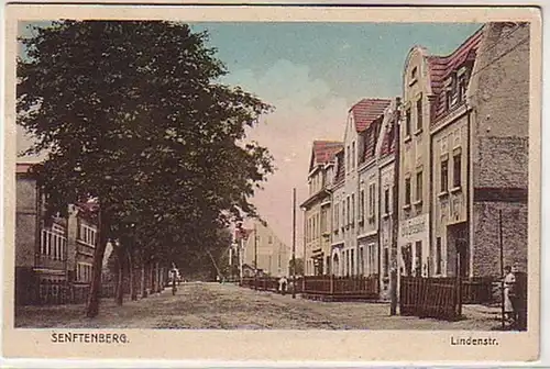 07199 Ak Senftenberg Lindenstrasse um 1920