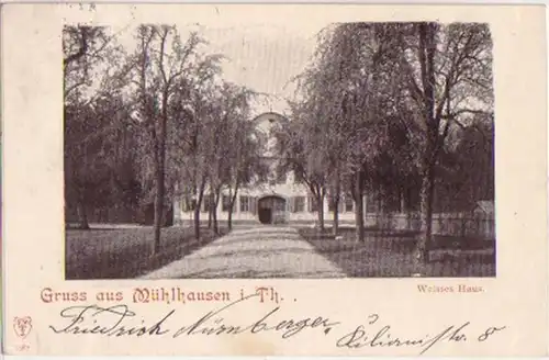 07155 Ak Gruss de Mühlhausen in Th. Maison Blanche 1898