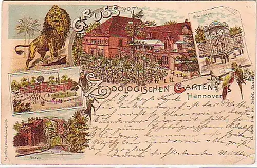07153 Ak Lithographie Greuss de Zoo Hannover 1896