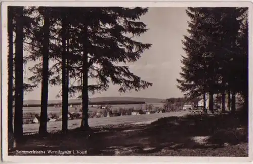 07134 Ak Sommerfrische Wernitzgrün i. Vogtland 1937