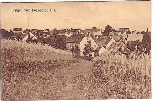 07012 Ak Förstgen b. Großbothen vom Forstberge aus 1911