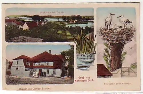 06954 Ak Gruß aus Haselbach S.-A. Gasthaus usw. 1915