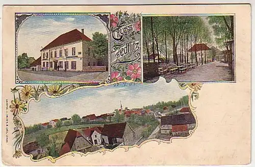 06905 Ak Lithographie Gruss aus Zedlitz 1902