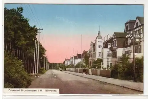 06827 Ak Ostseebad Brunshaupten Bülowweg um 1910