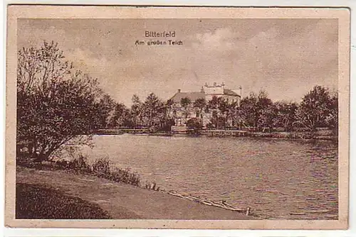 06799 Ak Bitterfeld près du grand étang 1920