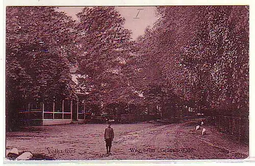 06776 Ak Volksdorf Weg beim "Grünem Wald" 1908
