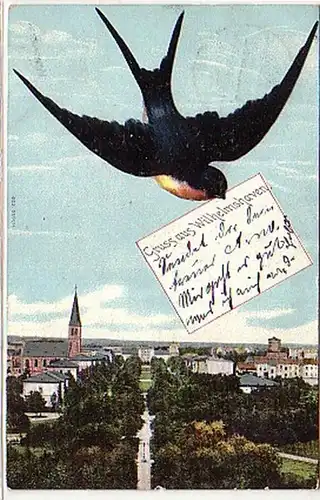 06541 Schwalben Ak Gruss aus Wilhelmshaven 1906
