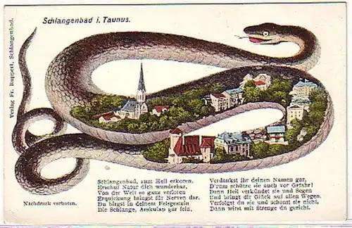 065330 Ak bain de serpent dans le Taunus avec Reim vers 1920