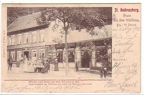 065111 Ak Salutation du Waldhaus St. Andreasberg 1901