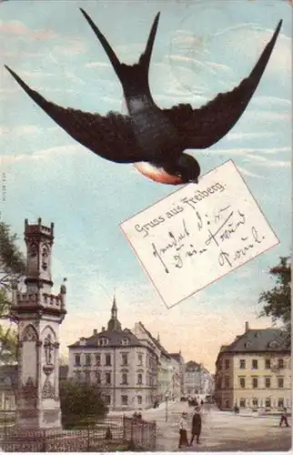 06494 Schwalben Ak Gruss aus Freiberg 1905