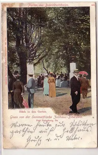 06262 Ak Gruß von der Sommerfrische Zollhaus Biberstein 1905