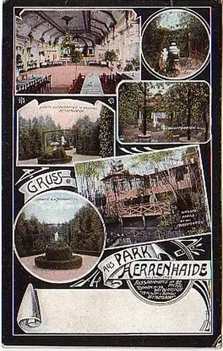 06137 Mehrbild Ak Gruß aus Park Herrenhaide 1907