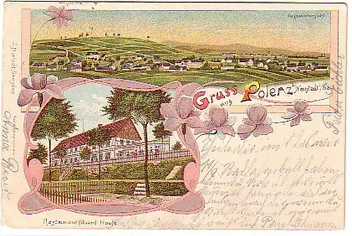 06110 Ak Lithographie Gruß aus Polenz bei Neustadt 1906