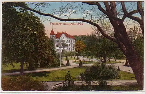 05871 Ak Freiberg König Albert Park 1924