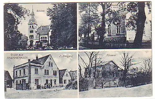 05856 Ak Gruß aus Thammenhain Gasthof usw. um 1920