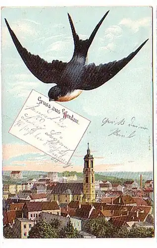 05484 Schwalben Ak Gruß aus Werdau Totalansicht 1909