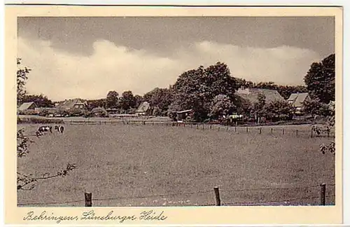 05353 Ak Behringen Lüneburger Heide 1952