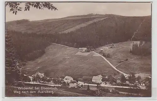 05063 Ak Wildenthal bei Eibenstock Weg nach dem Auersberg 1936