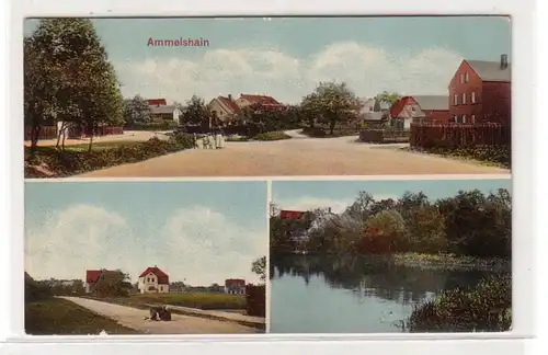 04874 Multi-image Ak Ammelshain Vue locale vers 1910