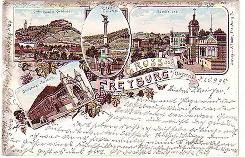 04809 Ak Lithographie Gruß aus Freyburg an der Unstrut