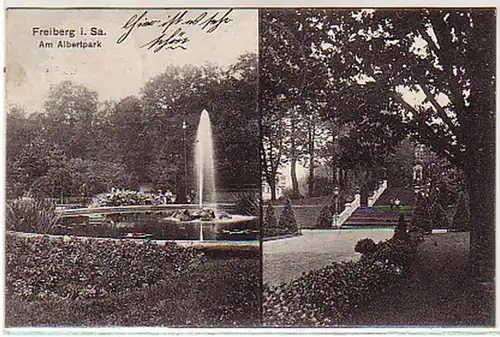 04705 Ak Freiberg in Sachsen am Albertpark 1907