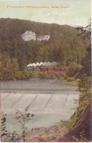 04672 Ak Forsthaus Princenhoub Sächs. Erzgeb. 1909