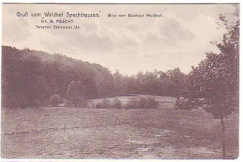 04383 Ak Gruß vom Waldhof Spechthausen 1918