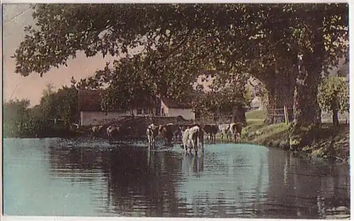 04338 Ak Suisse Dorfidyll avec vaches 1906