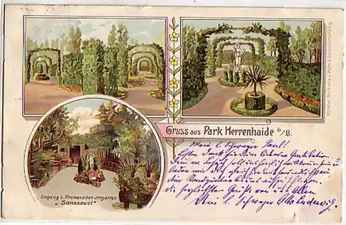 04310 Ak Gruss de Park Hommes-haies chez Burgstadt 1905