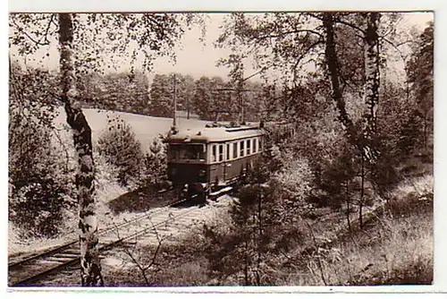 04275 Ak Buckow Märkische Schweiz Waldbahn 1962