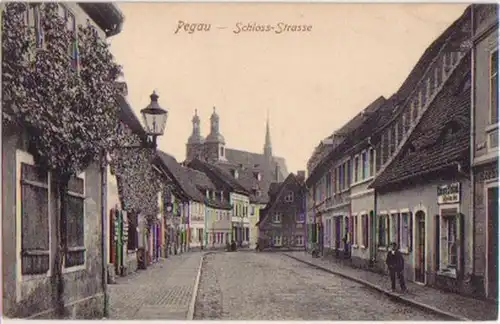 04248 Ak Pegau Schloss Strasse um 1920