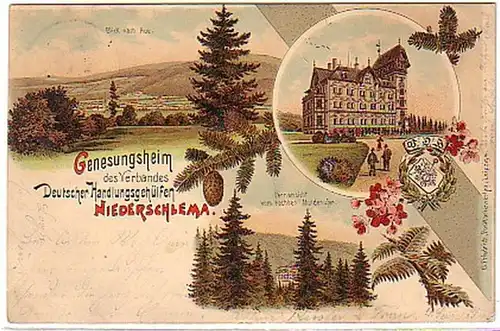 04224 Ak Lithographie Genesungsheim Niederschlema 1901