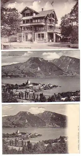 04198/3 Ak Schweiz Spiez Hotel Lötschberg usw. um 1910