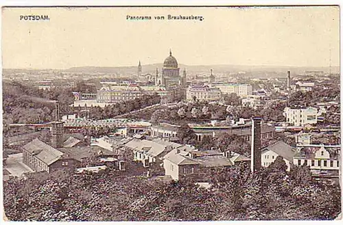03987 Ak Potsdam Panorama vom Brauhausberg 1910